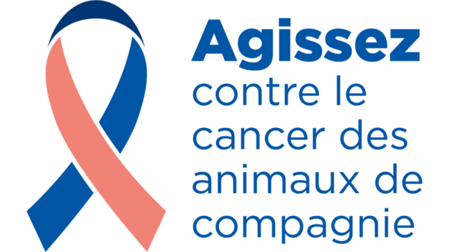 
                                                    Pet Cancer Awareness Month
                                               