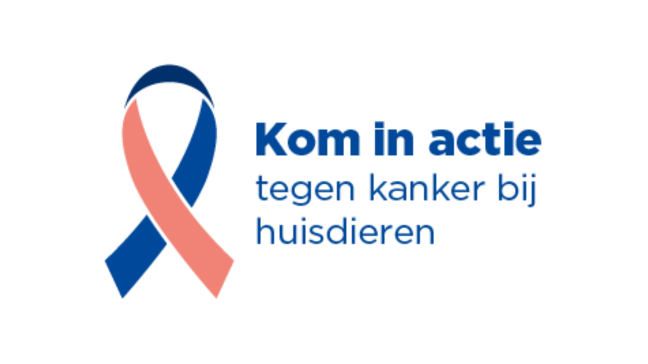 
                                                    Pet Cancer Awareness Month
                                               